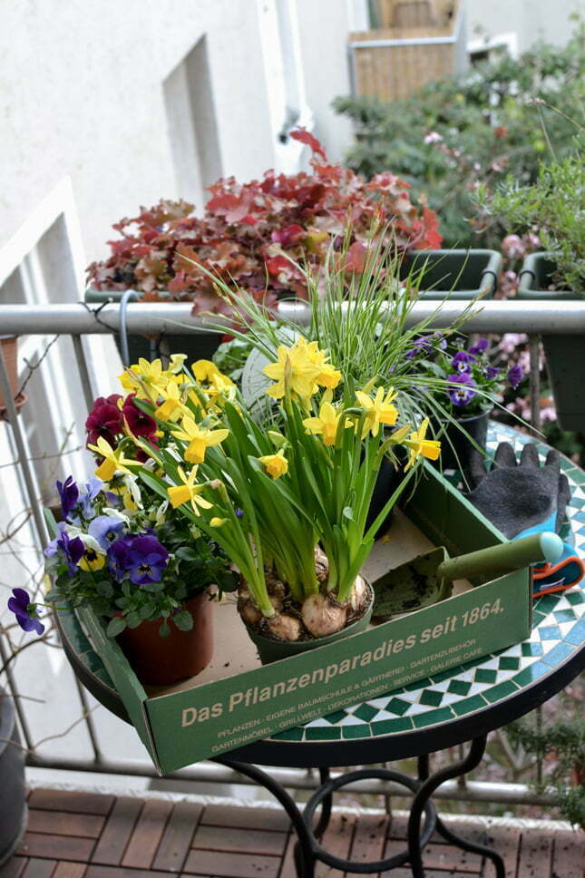 spring balcony, balcony, small balcony, planting, plants, urban jungle bloggers, Victorinox