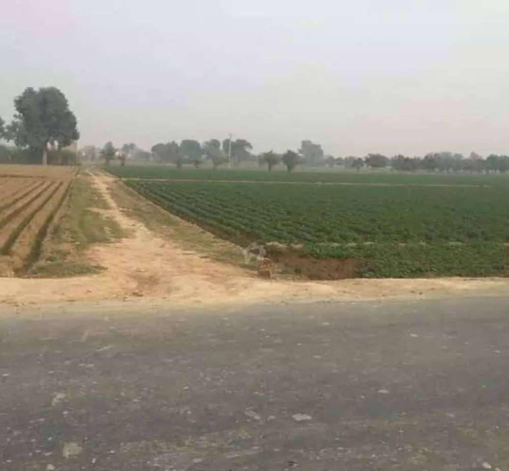 Agricultural land for sale 50 Acre/400 kanal in Bahawalpur district