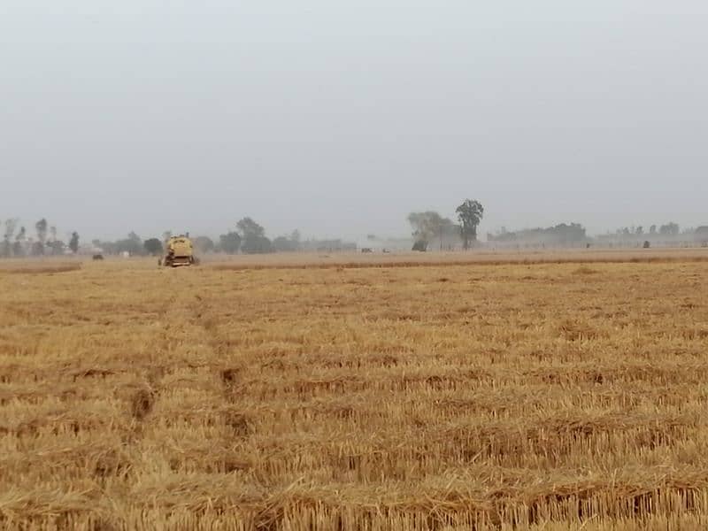 20 acre agricultural land for sale at wagha boder lahore Lahore ...