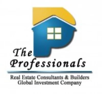 The Professional Builders The Professional Builders